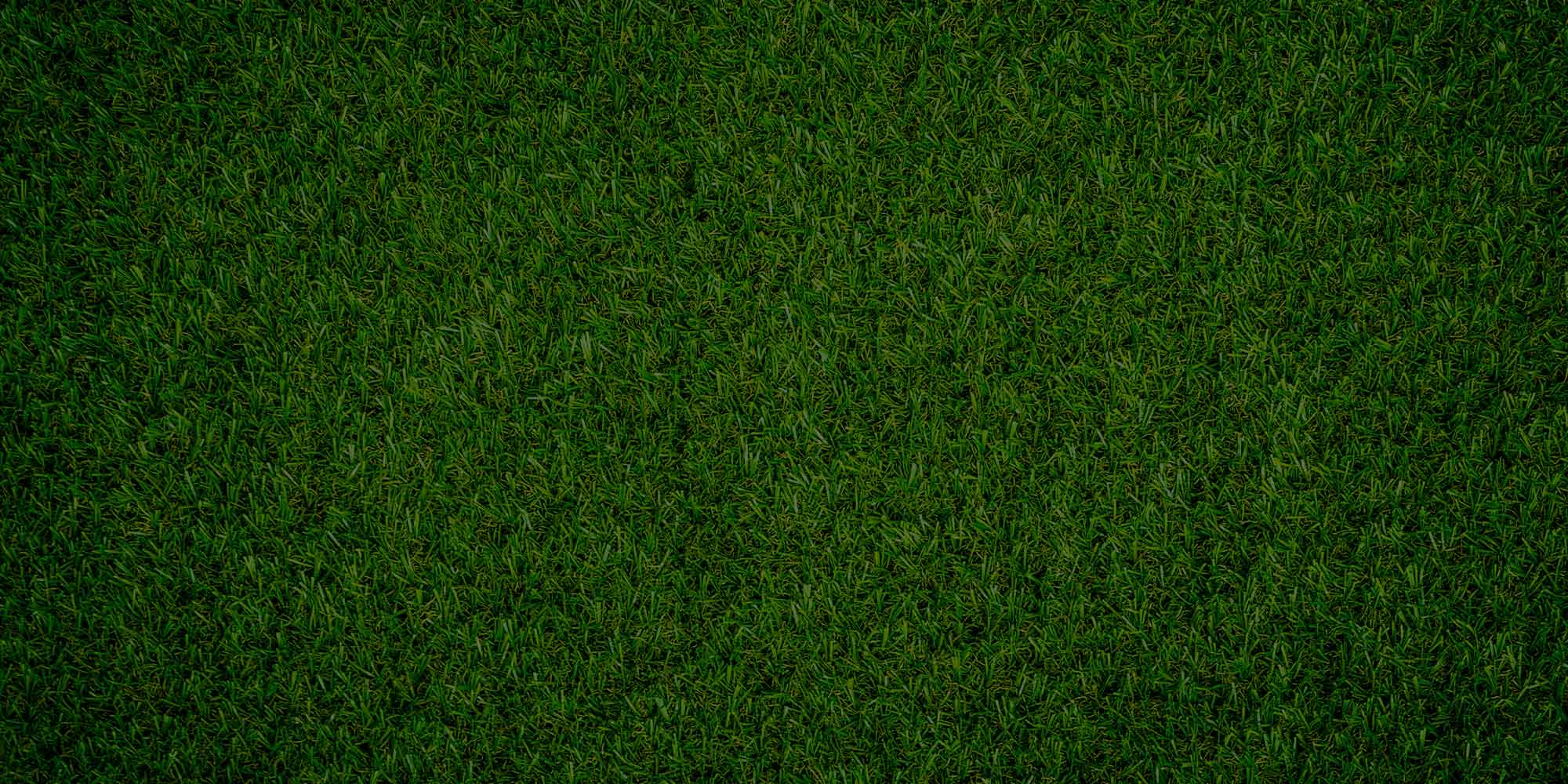 artificial turf