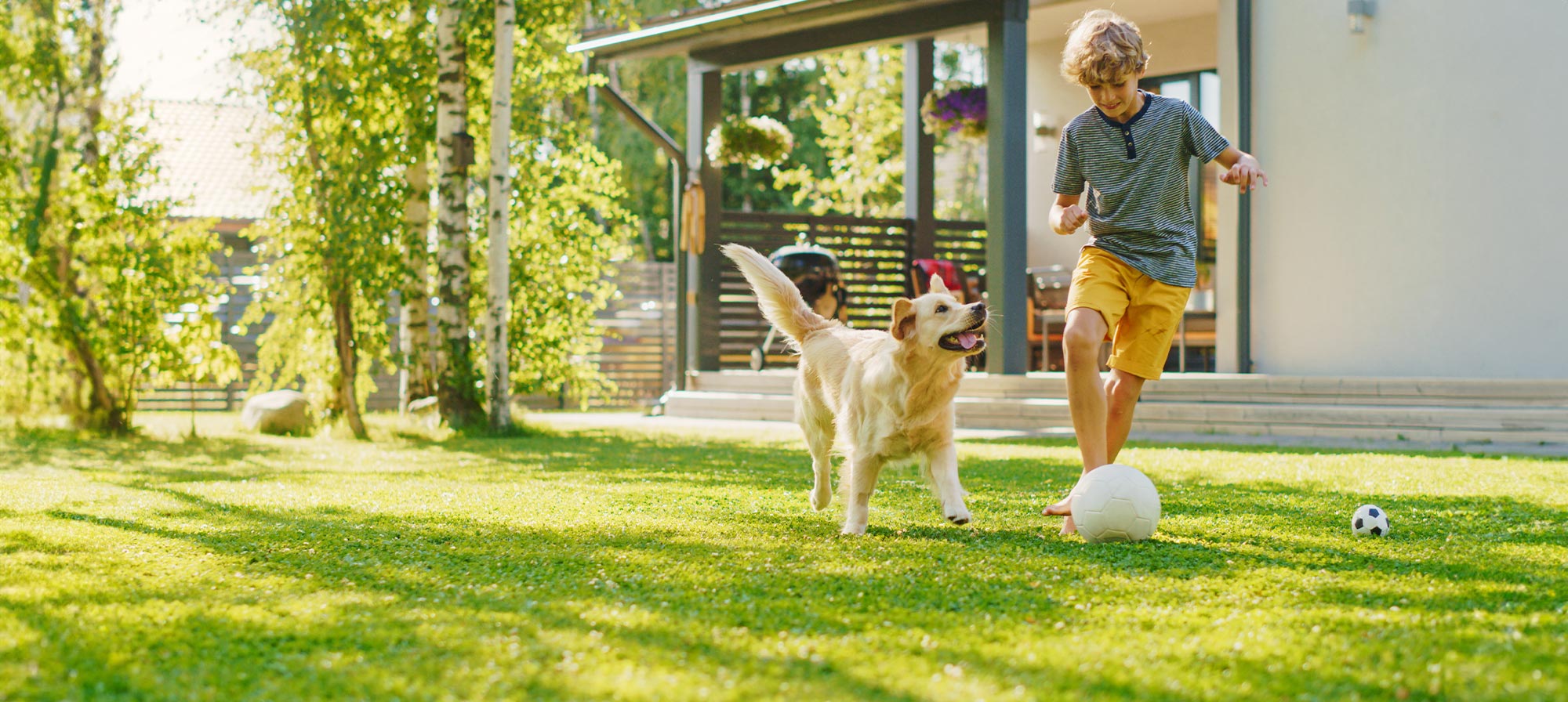 Boy and dog on artificial turf