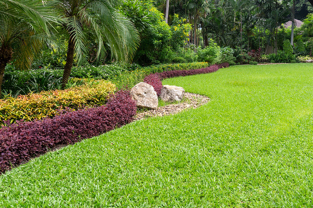 Artificial Turf Landscape