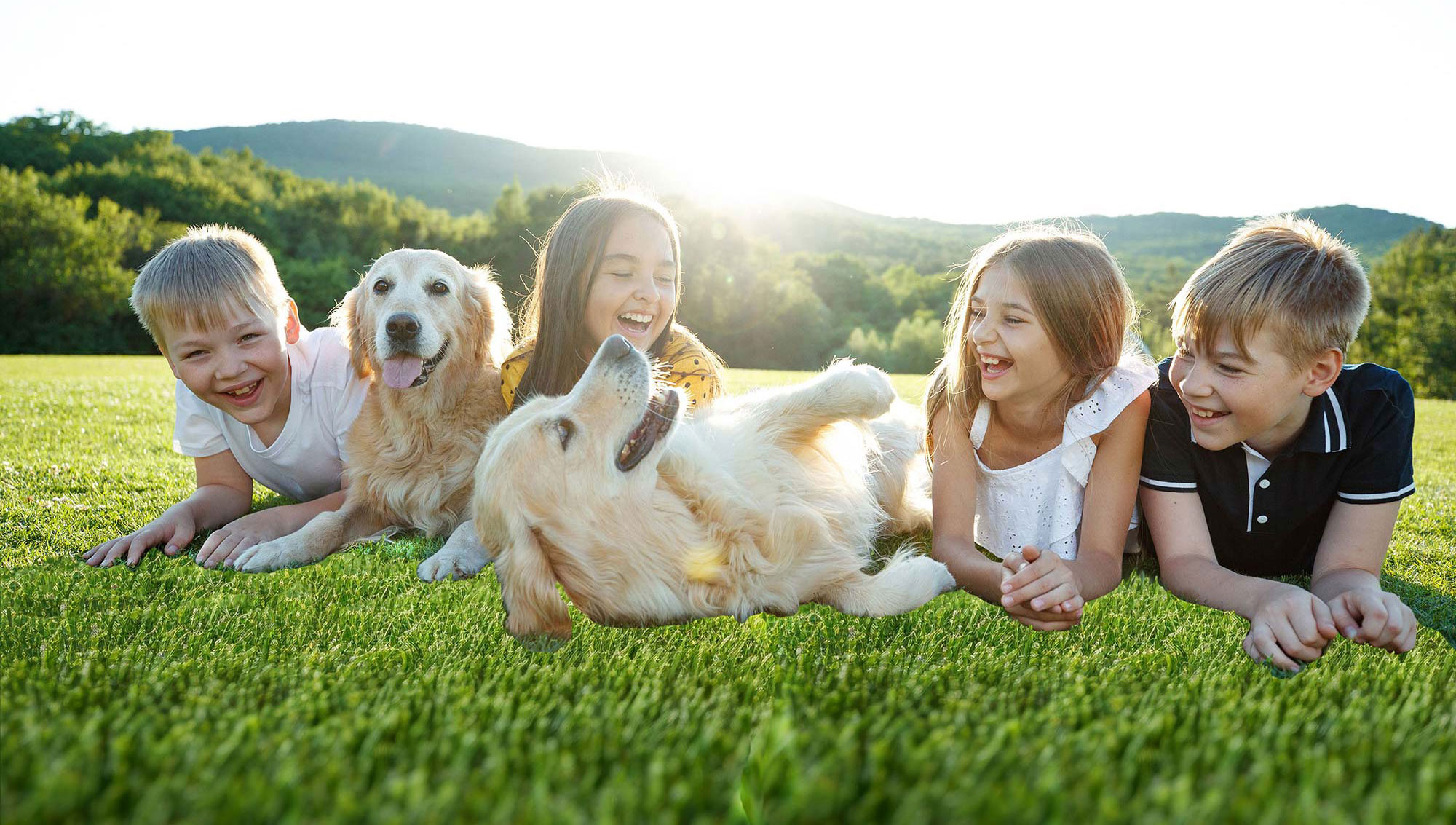 Kids playing with dogs on turf